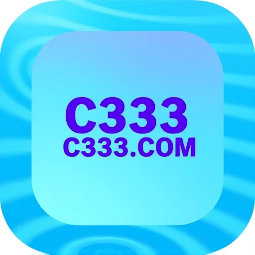 C333.COM